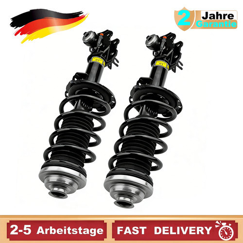Vollständig stoßdämpfer - 2x,