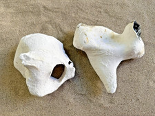 Hühnergott 1,7 Kg Lochstein