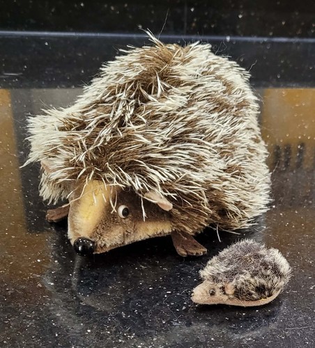 Steiff igel joggi mit - ✅,