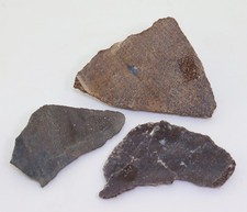 Sauropoden-Knochen, Jura, Morrison Formation, Colorado, USA -m92