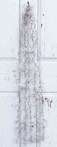 Artplants textil tillandsia - textil,