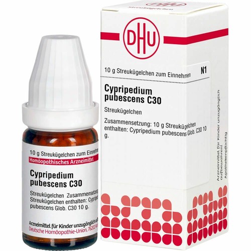 Cypripedium pubescens 30 - cypripedium, c