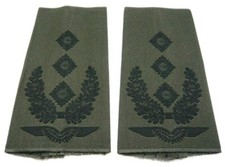 Dienstgradabzeichen  Luftwaffe