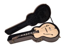 Jazzgitarre Koffer braun