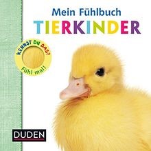 Kennst das mein - kennst,