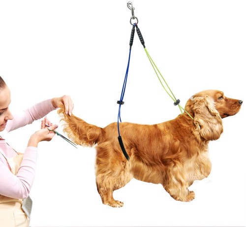 Halteschlaufe hund - halteschlaufe,