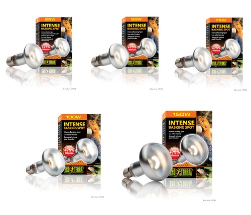 Exo terra intense basking spot - basking,