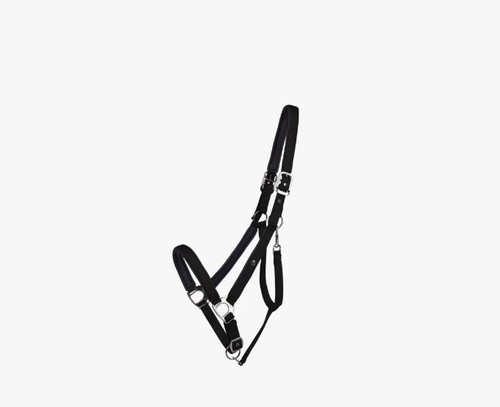 Qhp halfter deluxe zugpferd - qhp,