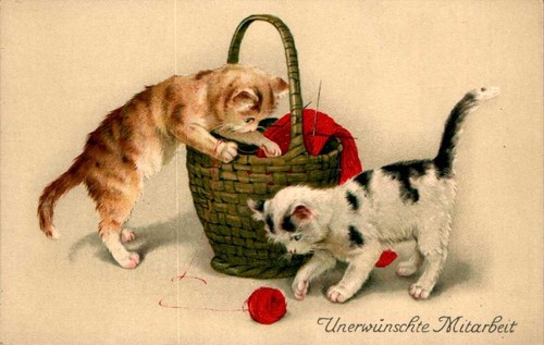 Tiere katze katzen - ak,