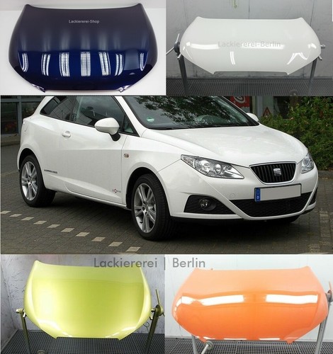 Motorhaube lackiert - motorhaube, in