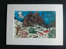 Tim und Struppi, tintin, Bild