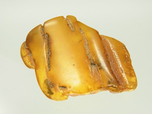 Schöner butterscotch egg - schöner,