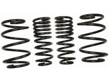 SPORTFEDERN KOMPLETT AUDI 100