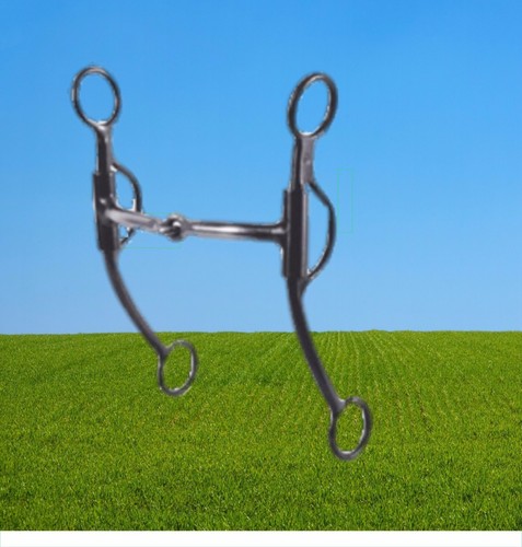 Greg darnall snaffle - darnall, with