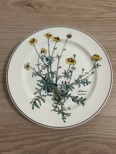 Villeroy boch speiseteller - villeroy,