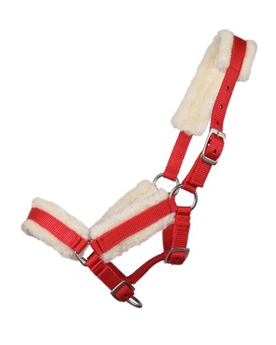 Halfter fohlenhalfter mit - halfter,