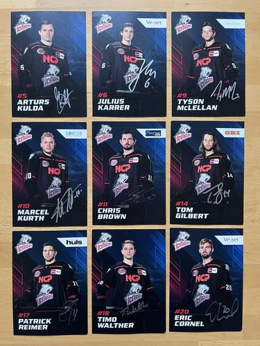Nürnberg ice tigers - 29,