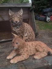 Luchs Deko Figur Löwe natürlich Raubkatze Gartenfigur wetterfest NEU Hotant