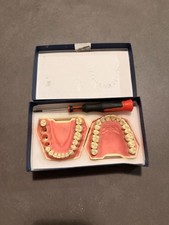 Frasaco Modell AG-3 28 Modell