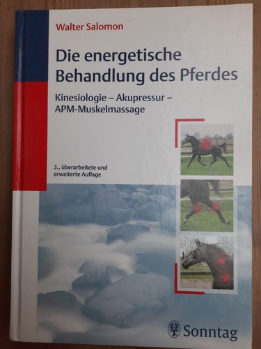 Die energetische behandlung - die,