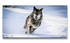 120x60cm Leinwandbild Wolf