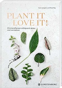 Plant love it - it,