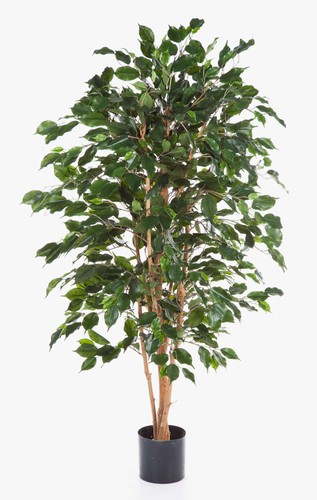 Artplants künstlicher ficus - künstlicher,