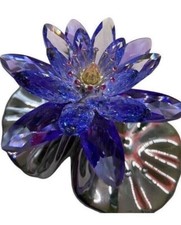 Wunderschöne Swarovski