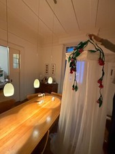 Baldachin für echte Prinzessinnen der Marke Klamboe mit Rosenranken von Haba aus