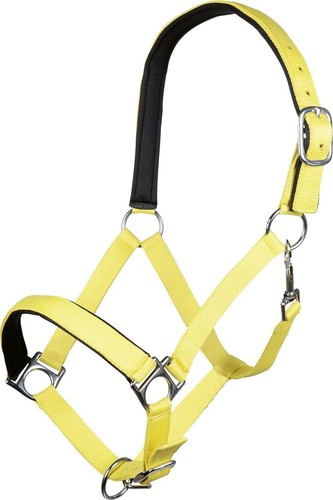 Halfter stars softice - halfter, weich