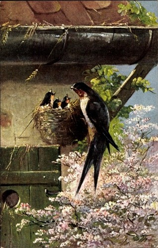 Künstler schwalben nest - künstler,