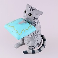 Schildpatt Katze - Purr-ry Me