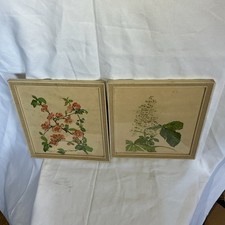 Bilder Set Baumblüte im