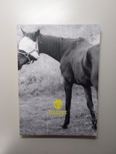 DELUXE - Gute Aussichten - new