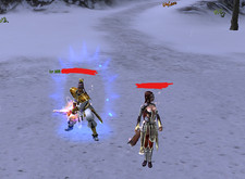 Metin2 Elveron Account Körper