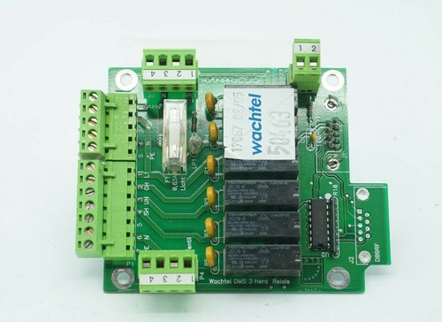 Wachtel piccolo - ,