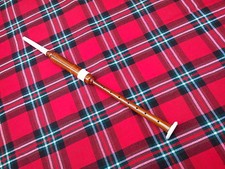 Dudelsack Practice Chanter Palisander Natur Kunstelfenbein Amount + 2 Reed