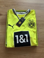 BVB BORUSSIA DORTMUND