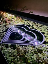 Schwimmender Aquarienring in