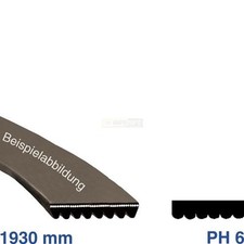 Rippenriemen Riemen 1930PH6 1930H6 Blomberg indesit C00031321 WHP 482000026174 