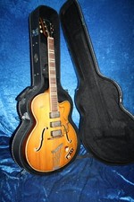 Alte Jazz Gitarre von Höffner,Halbresonanz Gitarre,Spielbereit,Mit Koffer