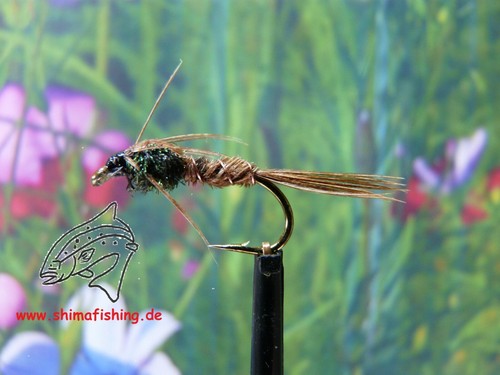 Nymphe pheasant tail 3er - ",