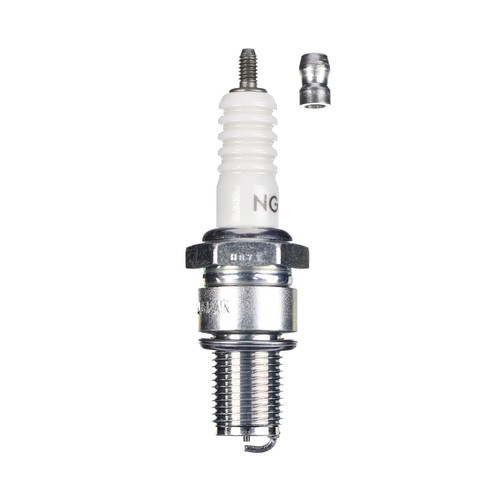 Ngk zündkerze b8eg für - ngk, (für