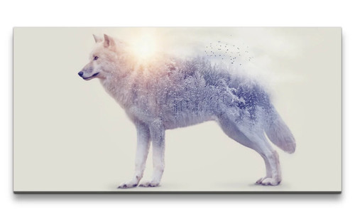 120x60cm leinwandbild weißer - 120x60cm,