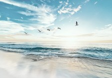 Meer Strand Landschaften VLIES