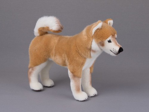 Kösen 6170 shiba - inu, 13