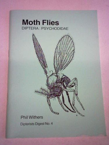 Moth flies diptera - moth,