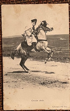 Pferdepostkarte AK Postkarte Pferd antik Araber Berber