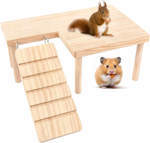 Hamster plattform mit - hamster,