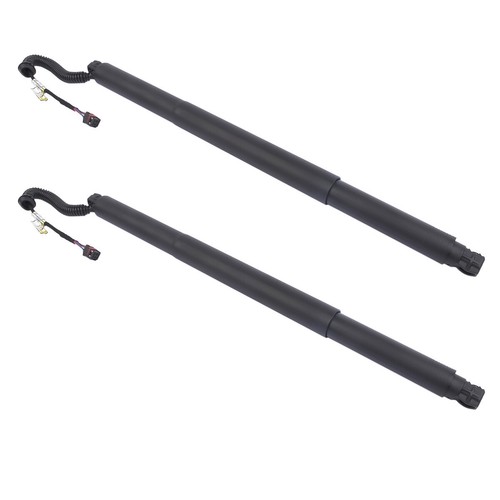 Hinten elektrische - 2x,